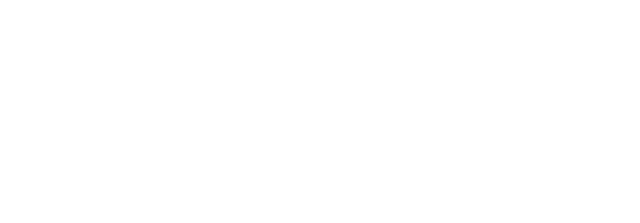 Navitas Vehicle Systems Logo